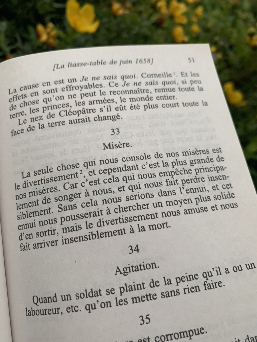 PerseusLeGrand's tweet photo. L’un de mes passages préférés dans les Pensées de Pascal.

Vous en pensez quoi ? https://t.co/TFPu91Webo