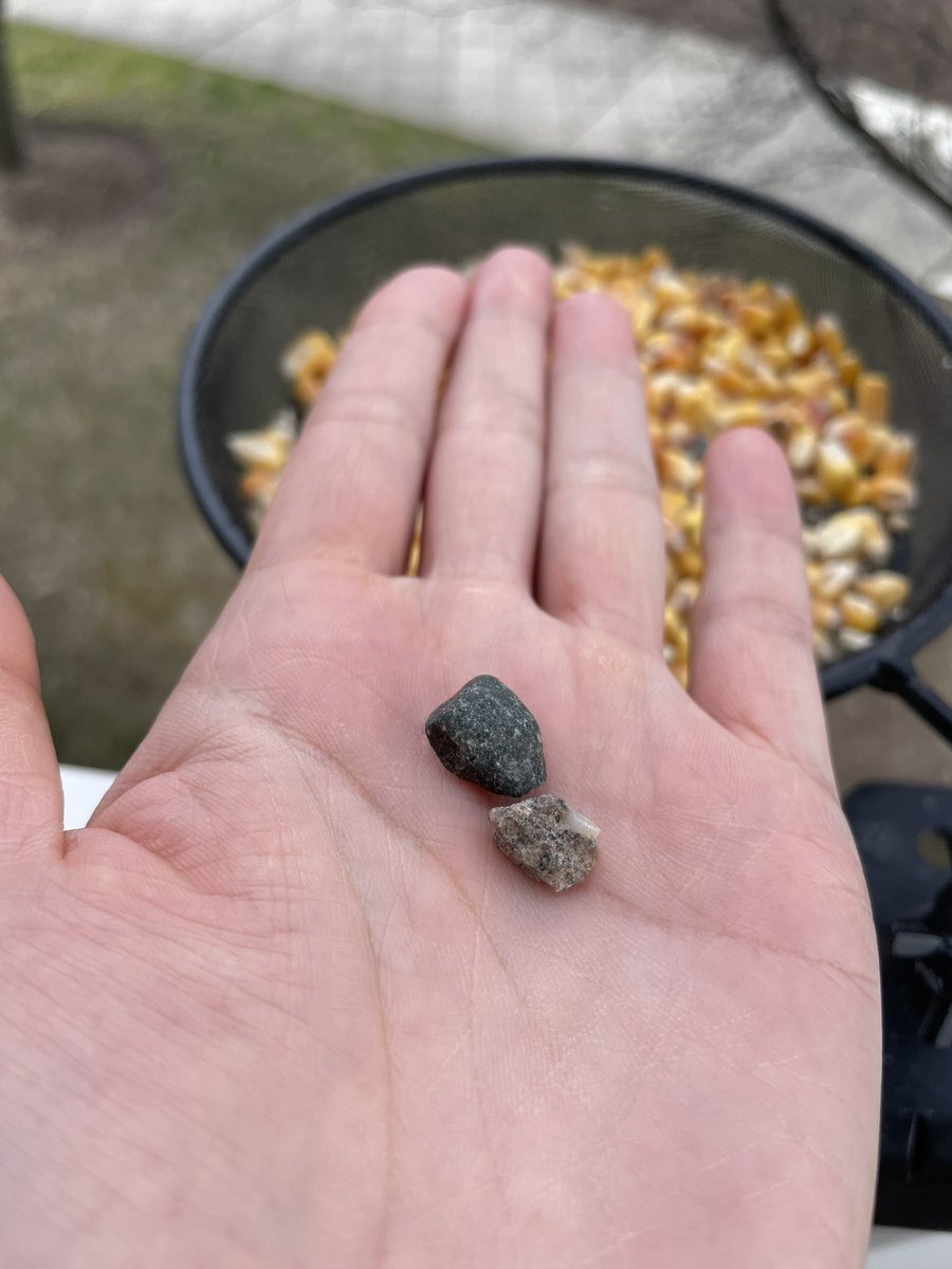 Janice Yu tweet media