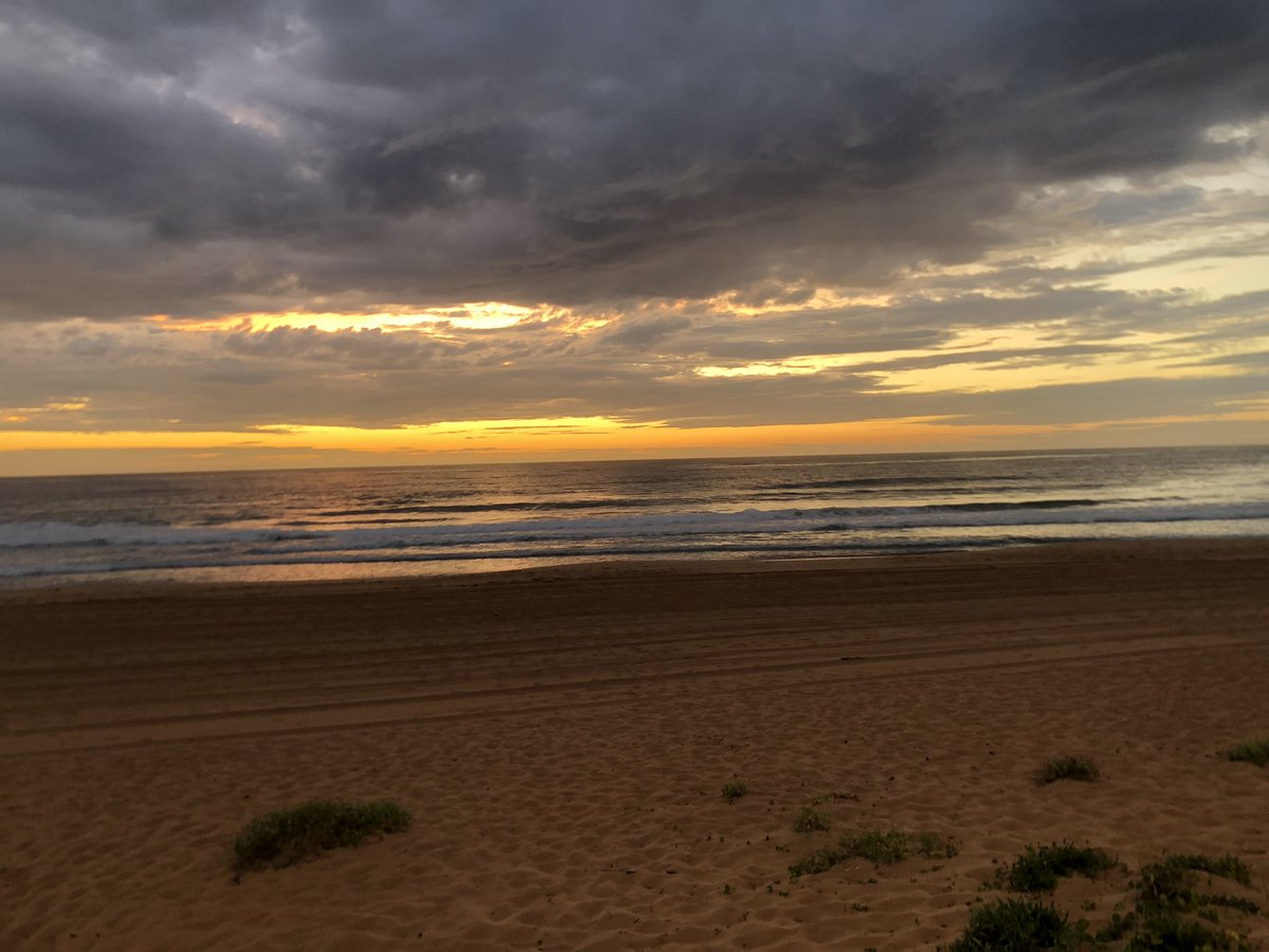 pyrmontvillage's tweet photo. Early Morning dip Palm Beach …..Slight rain ……Perfect…#LoveSydney #Straya #AboriginalAustralia https://t.co/WtKfcyEMoW