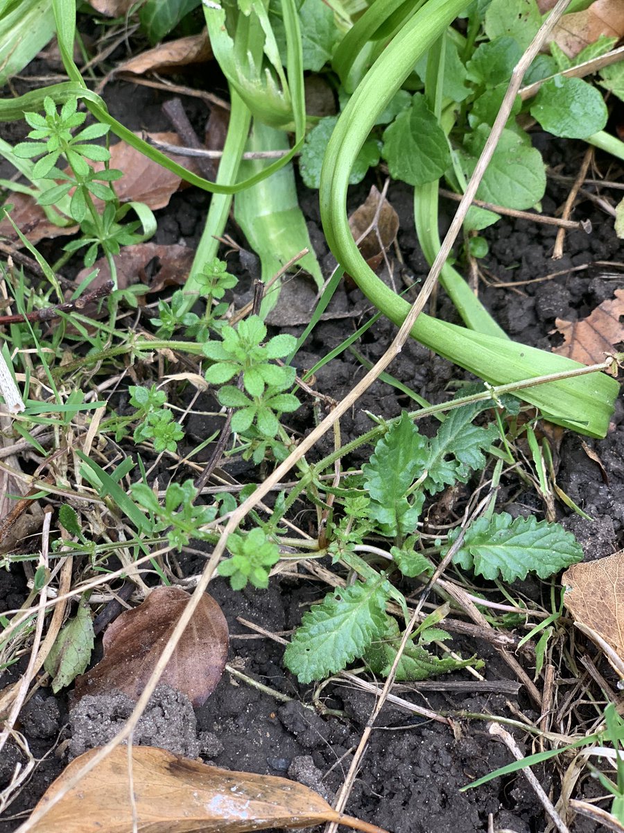 NatureBox tweet media