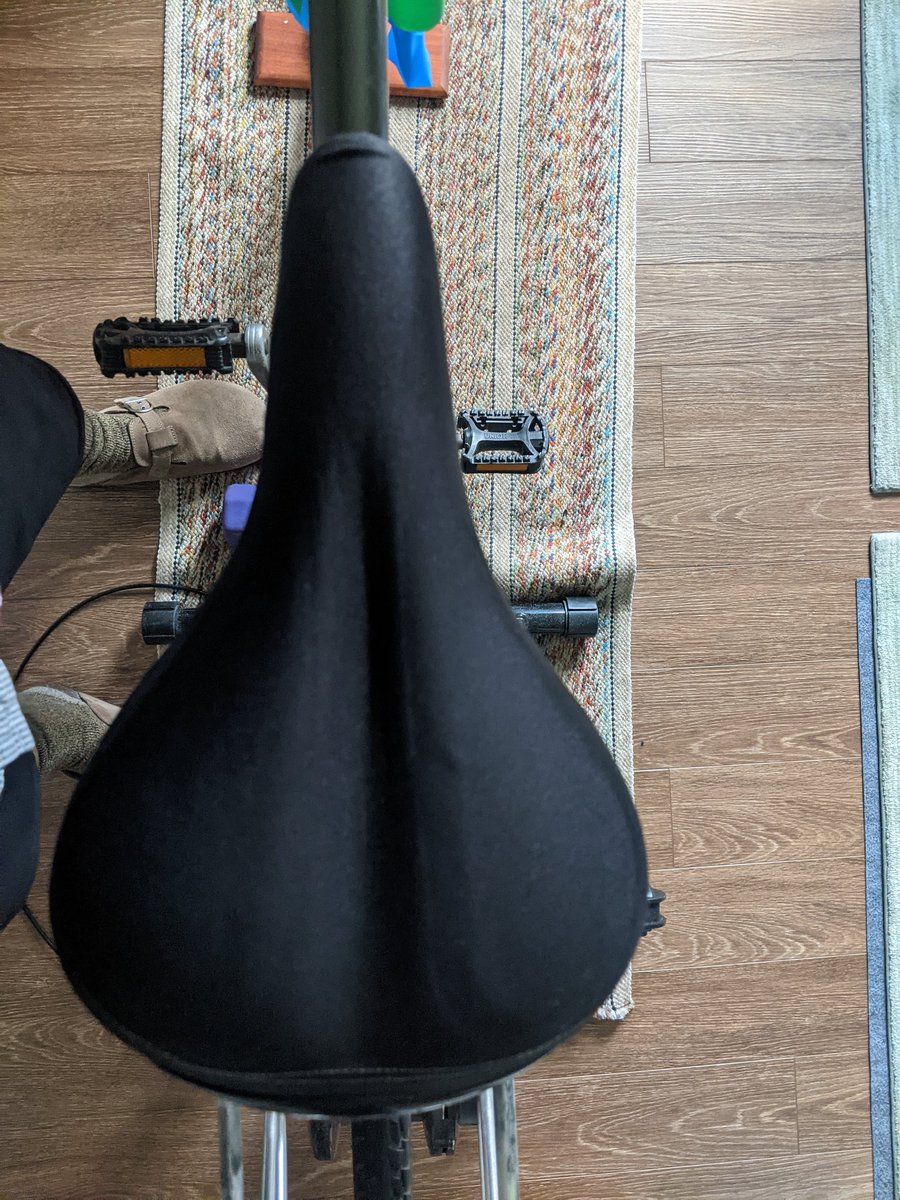 tracethemitten's tweet image. I remember last year during my inside rides I used my cushy cruiser seat. When I went outside my butt was sore. This year using the seat shown here. I will see how it feels when I go outside. #TrailAndError 
#tracethemitten