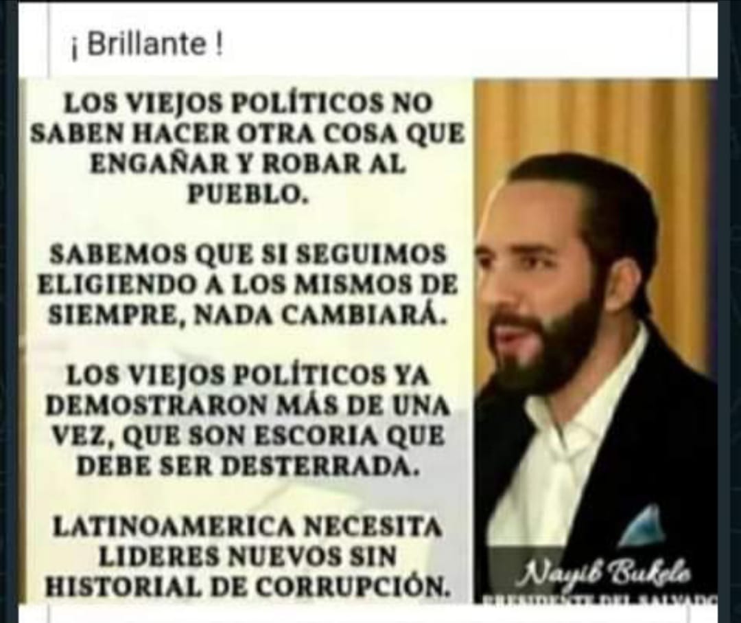 Creo que debemos importar políticos