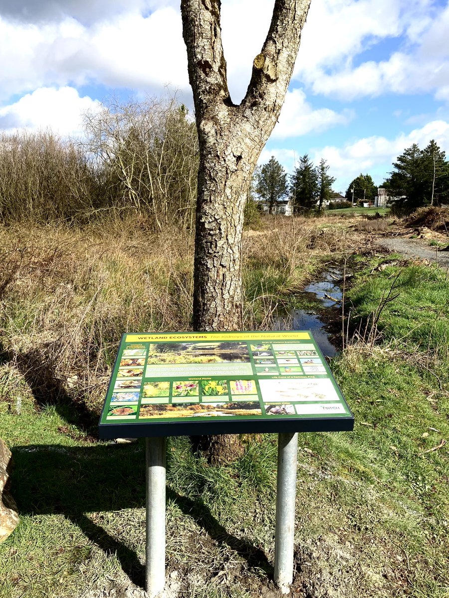Delighted with our new Wetland signage installed by Mel’s Signs at Bailieborough Town Lake today. Thanks to <a href="/WatersProgramme/">Local Authority Waters Programme</a> for making it possible and to St Anne’s Parish Green group for organising. #thisisCavan #Bailieborough #LAWPROFUND
