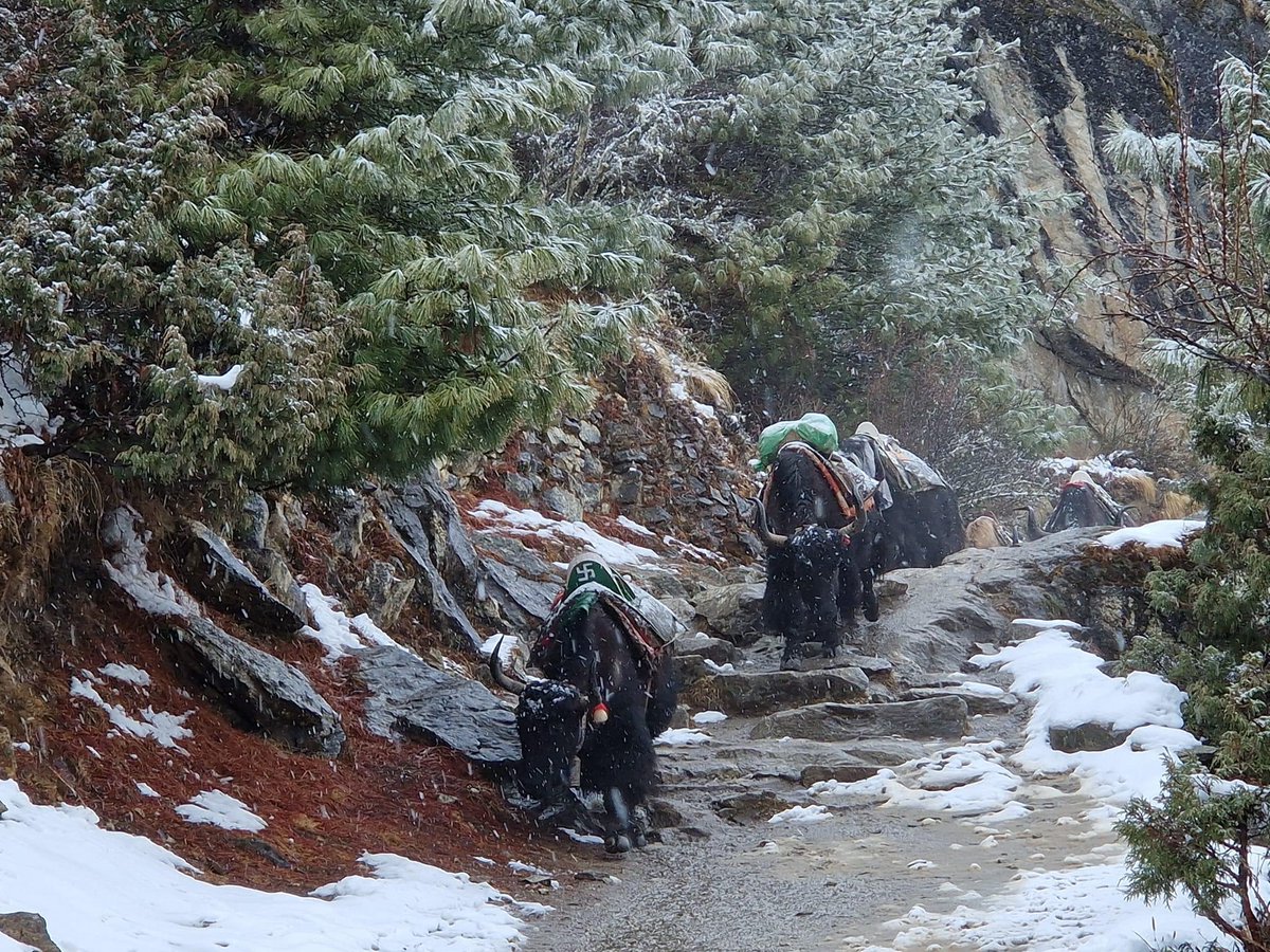 Troop Aid Official tweet media