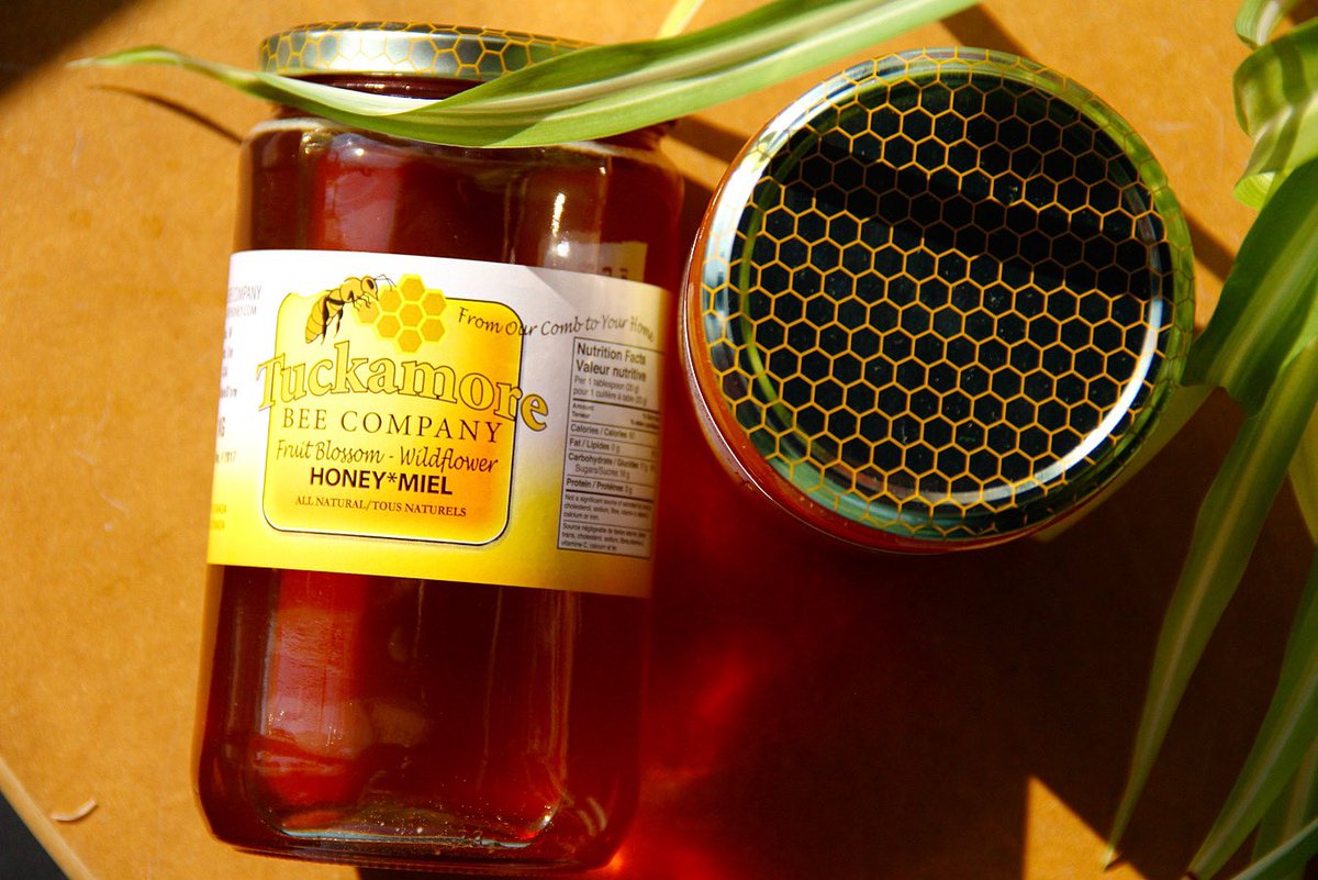 Oh, honey 🍯 

We love our local honey supplier, Tuckamore Honey! We keep their honey on our condiment stand for you to add into drinks. 

Try it in a chai latte or a matcha latte today 🫖 

#planetbean #coffee #organic #fairtrade #honey #tealatte #tea #tuckamore #localhoney