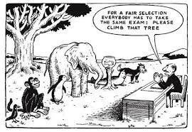 mitacasey's tweet photo. Our education system. 😬.             Everyone is a genius in their own environment. Work on our strengths based Approach  ….. #pdsl #leadership @niamhickey @blathbreslin @patriciamannixm @Leaders_SoE https://t.co/J6XzNIhtYj