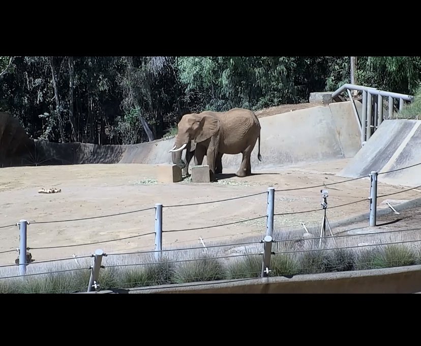 EdwardsSchoolCounsel tweet media