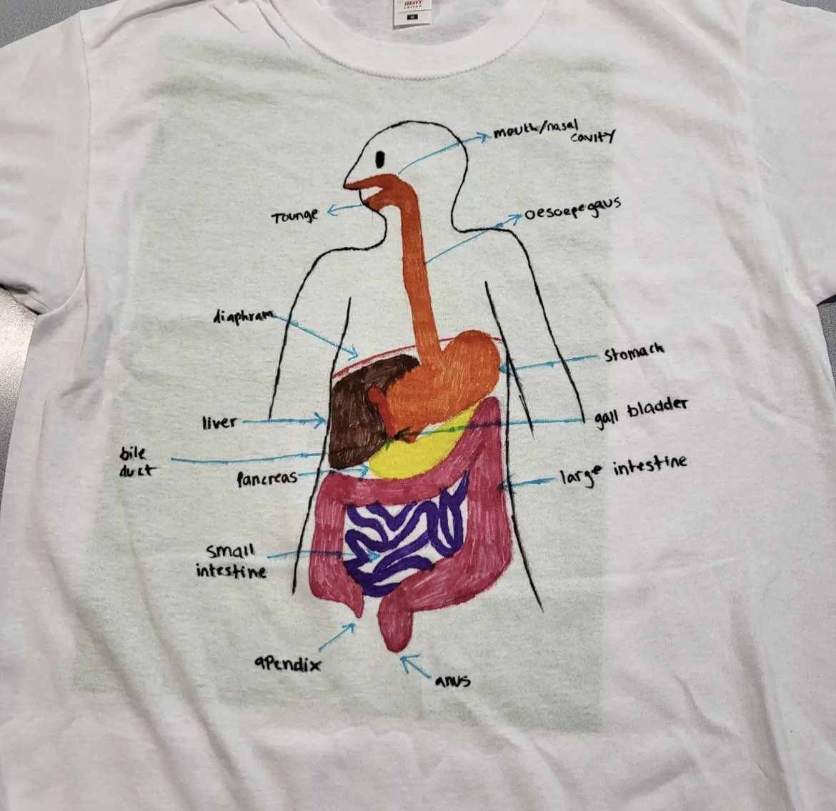 OrielHighSchool's tweet photo. Great work from our Y12 H&SC students today who were learning about the digestive system by designing their βdigestive system t-shirtsβ ππ #AnatomyAndPhysiology #ArtisticTalentToo #OrielSixthForm https://t.co/stJn392Bhd