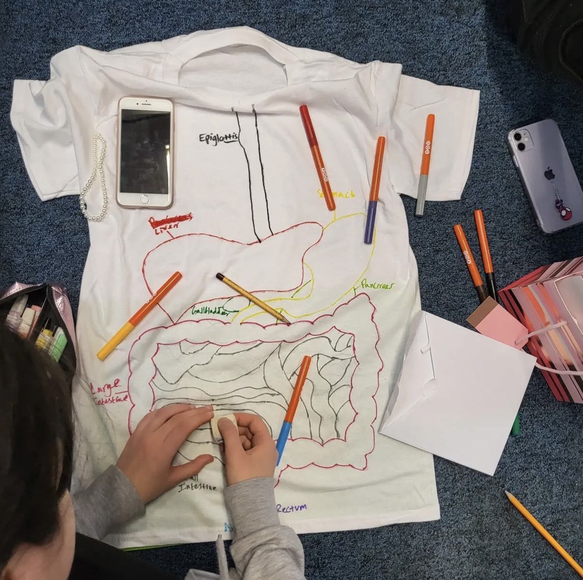 OrielHighSchool's tweet photo. Great work from our Y12 H&SC students today who were learning about the digestive system by designing their βdigestive system t-shirtsβ ππ #AnatomyAndPhysiology #ArtisticTalentToo #OrielSixthForm https://t.co/stJn392Bhd