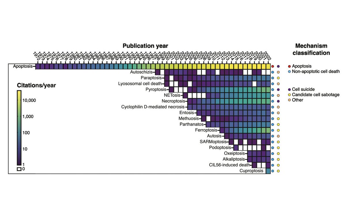Logan Leak tweet media