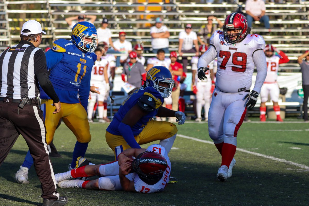 ReyesLFA tweet media