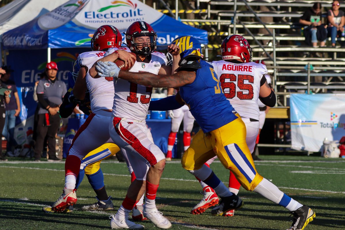 ReyesLFA tweet media