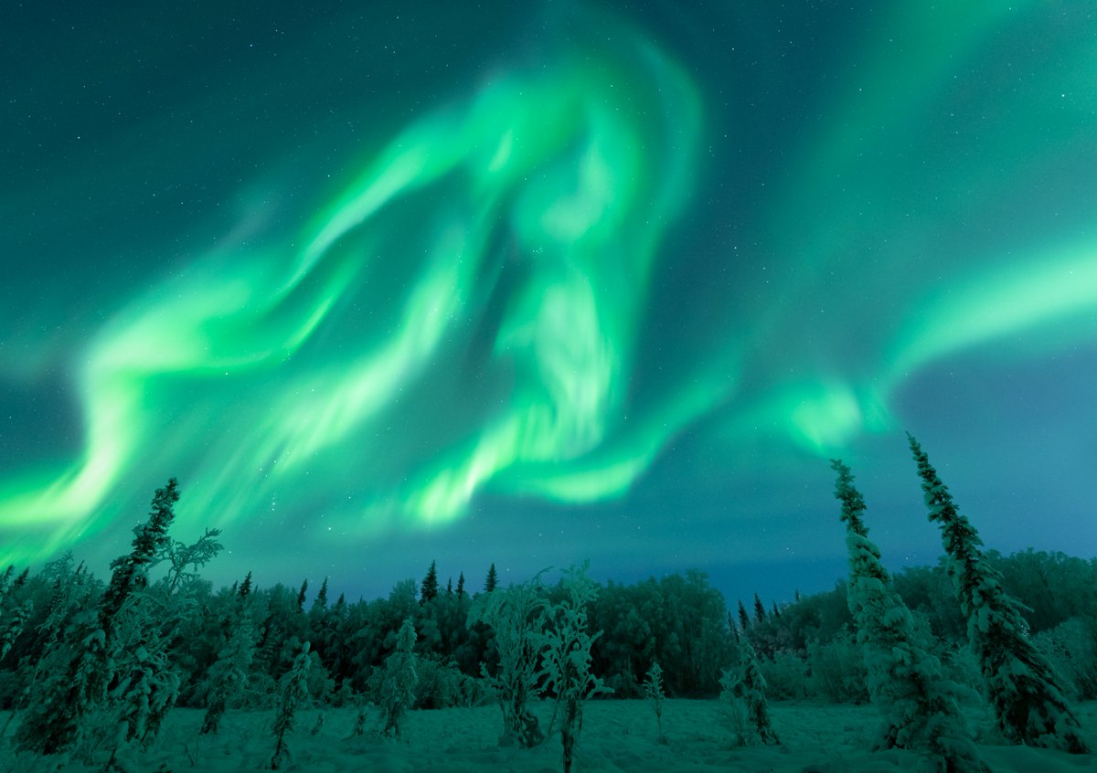 EBleicher's tweet photo. Two nights under the aurora 💫 https://t.co/TFaRHxafo5
