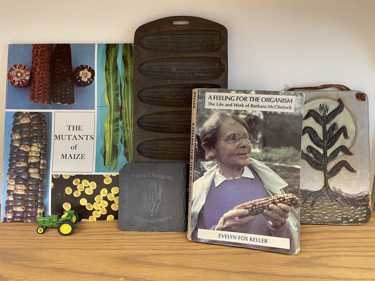 Sarah N. Anderson tweet media