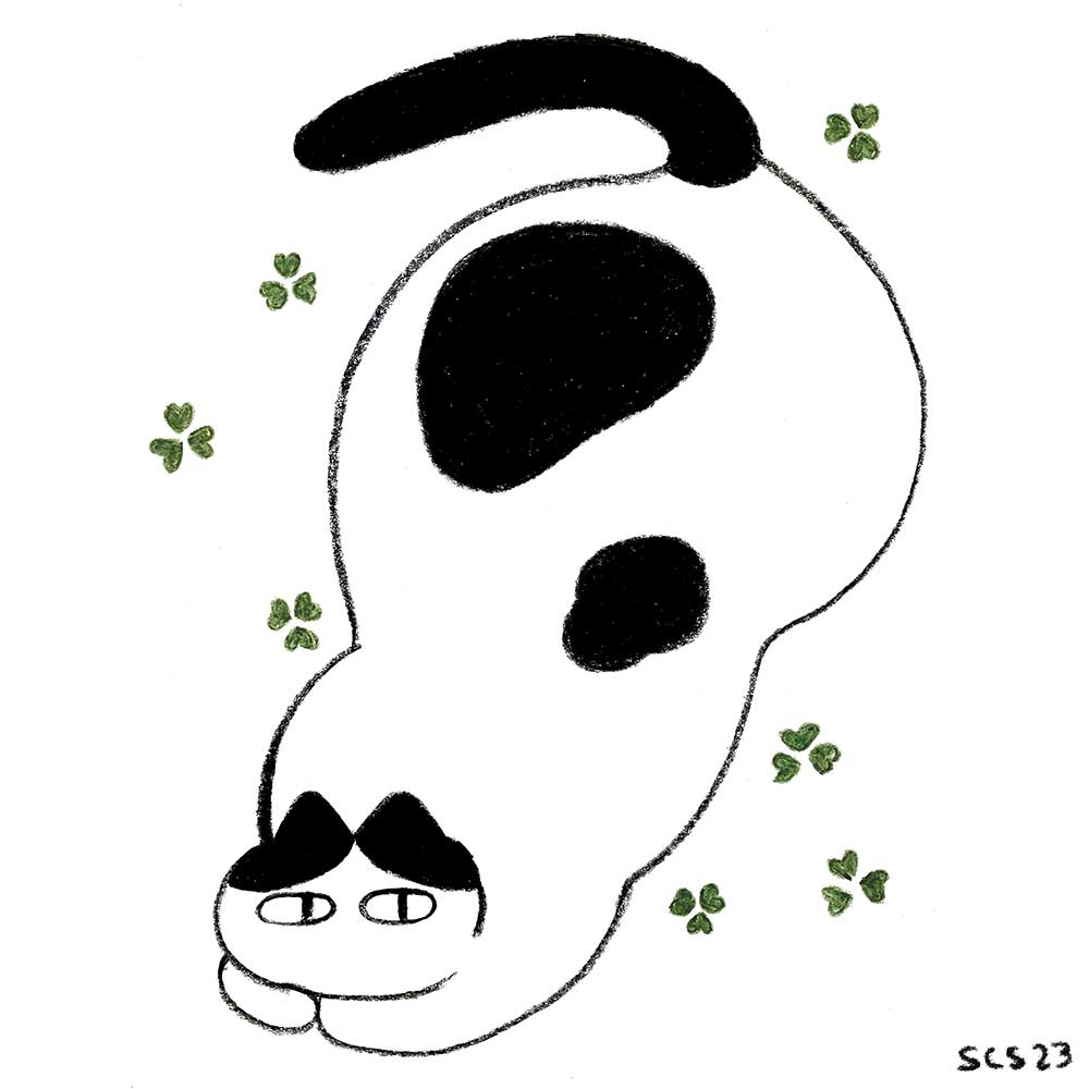 dandelion &amp; clover 🍀