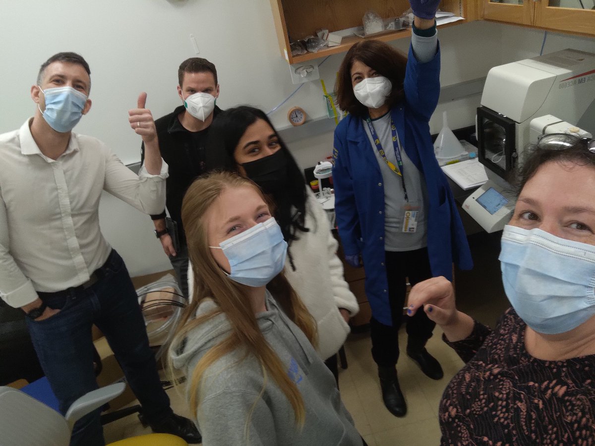 #cryolamellae prep test for our @Zeiss  crossbeam!!!