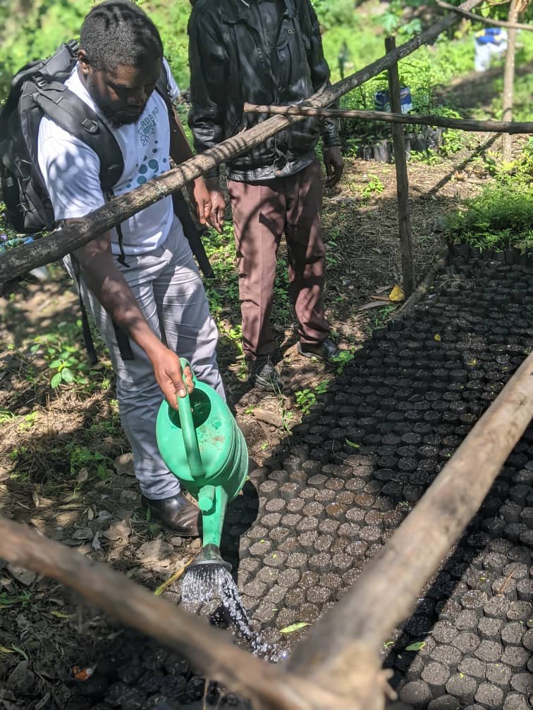 StakeGoma's tweet photo. If you are angry, pour the water over the seed of the plant. It's depressive.
@cardano_whale @CardanoSpot @veritree_ #Mtidano #NFT https://t.co/Vembe3r318