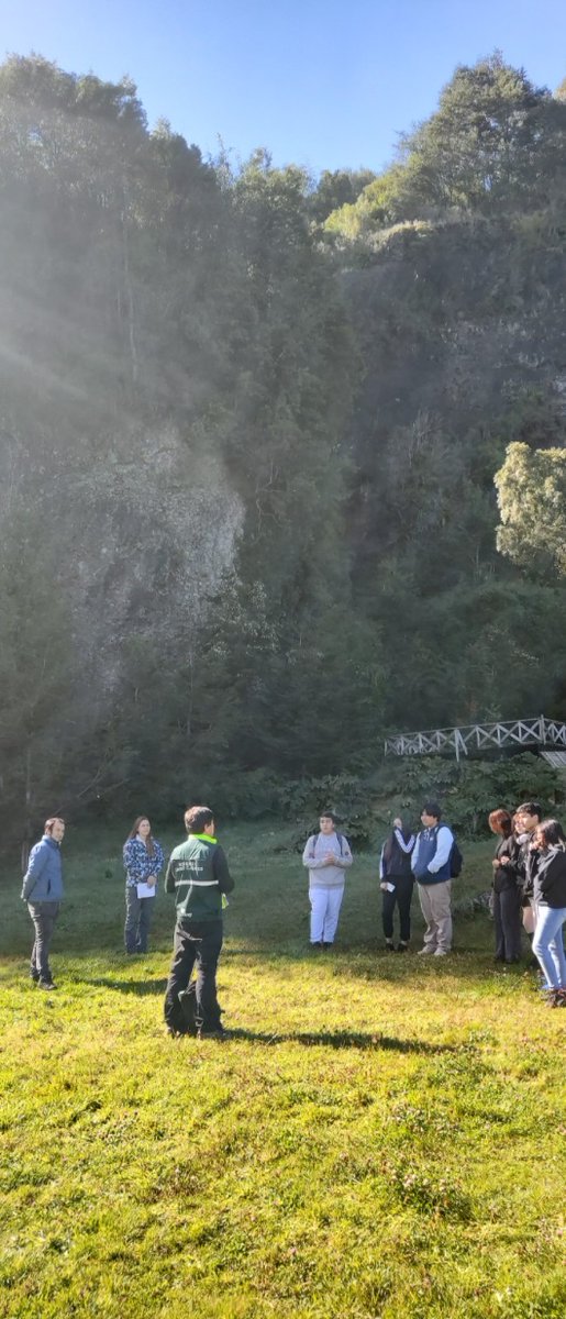 CONAF Aysén tweet media