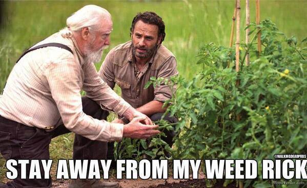 The real reason Hershel didn't want Rick's group to go in the barn