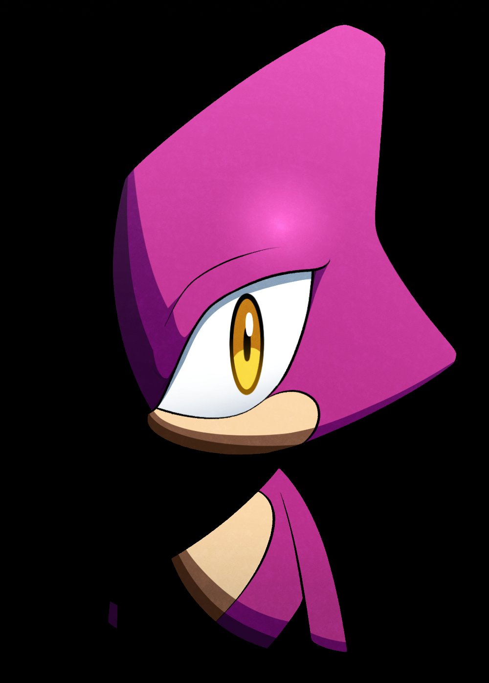 Espio icons in 2023  Sonic art, Sonic, Hedgehog art