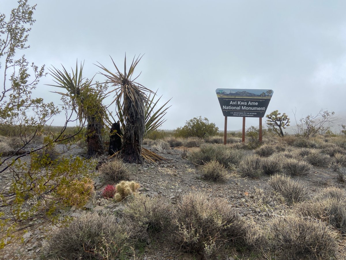 SecDebHaaland's tweet image. .@POTUS made the Avi Kwa Ame National Monument designation official yesterday. Then, our @BLMNational and @blmnv teams faced the rain, sleet and cold winds to get the signs up quickly. 

Now, it's "official, official"!