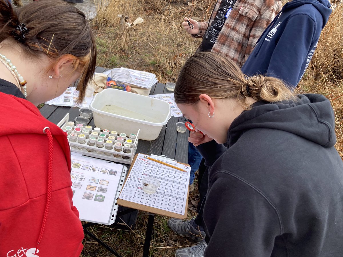 WRscience_13's tweet photo. Investigating macroinvertebrates at the creek today @WRidgeMS @theSMSD @FriendsoftheKaw https://t.co/4KKsdw4a0g