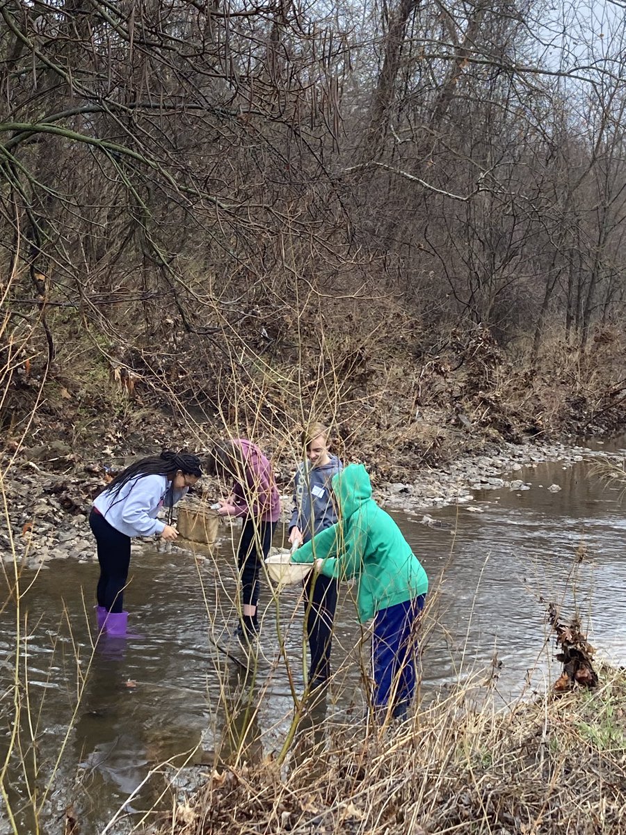 WRscience_13's tweet photo. Investigating macroinvertebrates at the creek today @WRidgeMS @theSMSD @FriendsoftheKaw https://t.co/4KKsdw4a0g