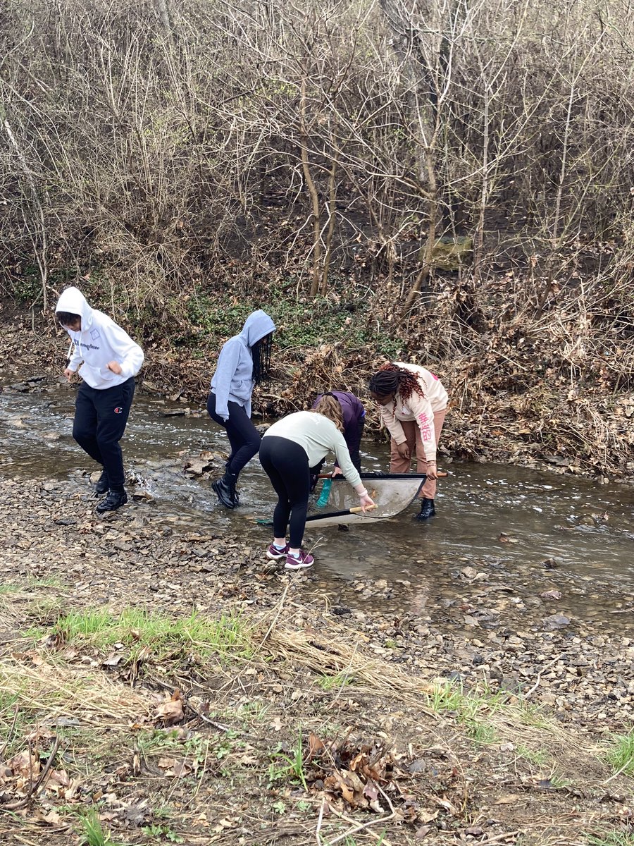 Investigating macroinvertebrates at the creek today <a href="/WRidgeMS/">Westridge MS</a> <a href="/theSMSD/">SM School District</a> <a href="/FriendsoftheKaw/">Friends of the Kaw - Kansas Riverkeeper</a>