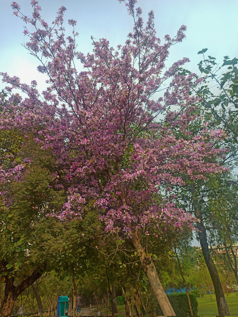 rampant_coder's tweet image.