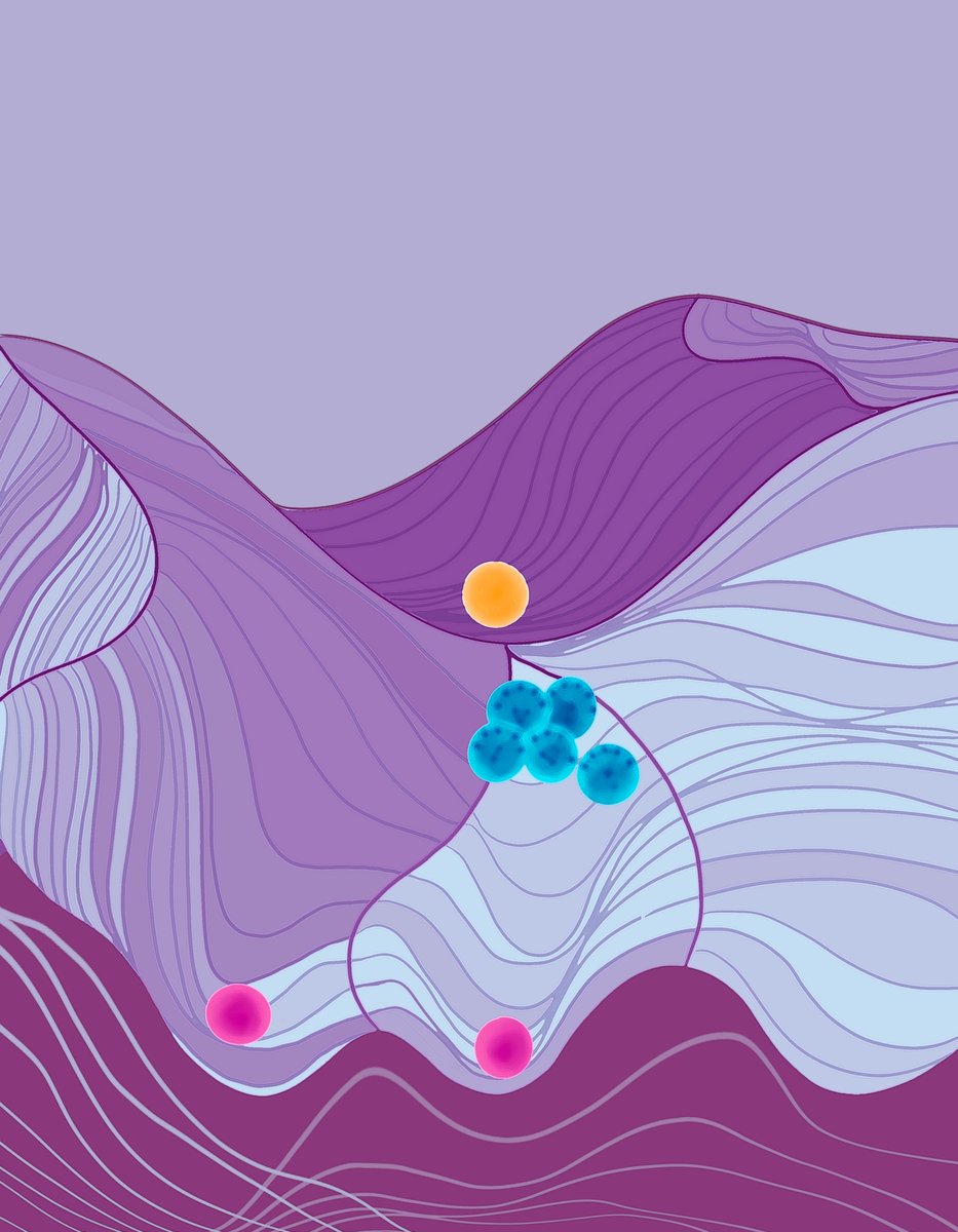Cancer Discovery (@cd_aacr) on Twitter photo March issue of Cancer Discovery—
Mutant NPM1 Hijacks Transcriptional Hub to Maintain Pathogenic Gene Programs in Acute Myeloid #Leukemia, by <a href="/zxtzhangqian/">Xiaotian Zhang</a>, <a href="/LilingWanLab/">Liling Wan</a>, <a href="/schong_ustc/">Shasha Chong</a> et al.
bit.ly/3LIDOsE
<a href="/UTHealthHouston/">UTHealth Houston</a> <a href="/Penn/">Penn</a> <a href="/CaltechCCE/">Caltech Chemistry & Chemical Engineering</a> March issue of Cancer Discovery—
Mutant NPM1 Hijacks Transcriptional Hub to Maintain Pathogenic Gene Programs in Acute Myeloid #Leukemia, by <a href="/zxtzhangqian/">Xiaotian Zhang</a>, <a href="/LilingWanLab/">Liling Wan</a>, <a href="/schong_ustc/">Shasha Chong</a> et al.
bit.ly/3LIDOsE
<a href="/UTHealthHouston/">UTHealth Houston</a> <a href="/Penn/">Penn</a> <a href="/CaltechCCE/">Caltech Chemistry & Chemical Engineering</a>