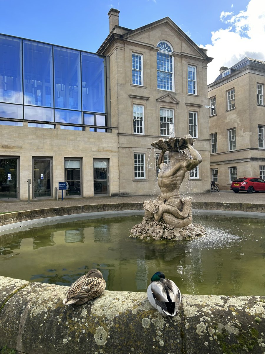 Guinnessisgd4u's tweet photo. Ducks are back! #Oxford @QuackSnacks https://t.co/bDKAptWRuy