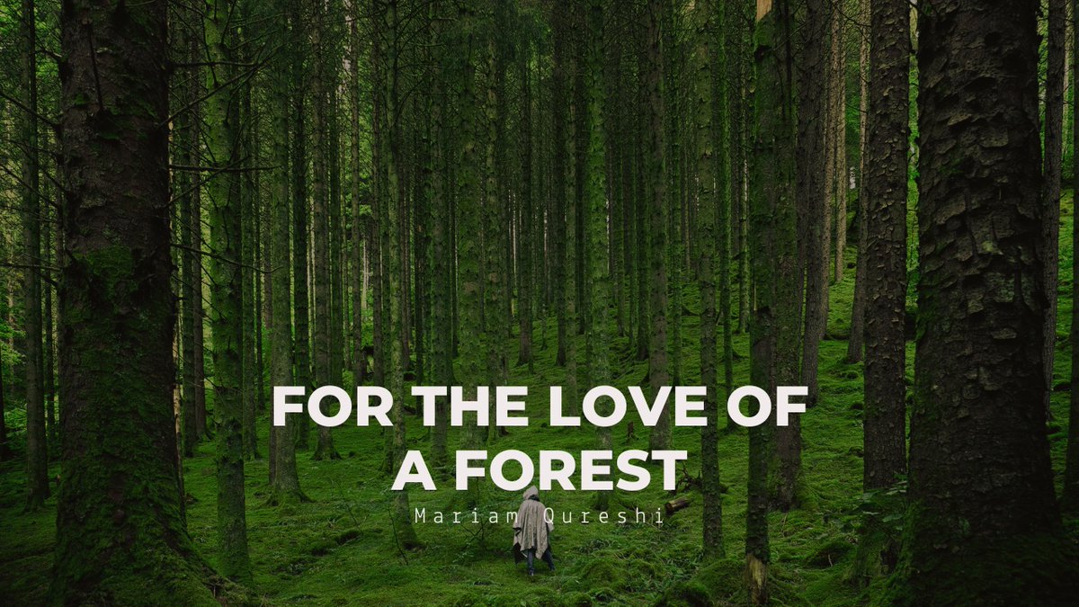 ArtbyMariamQ's tweet image. Forests underpin our economy, our society, and indeed our very existence. - mailchi.mp/7017d862d160/f… #availableart
