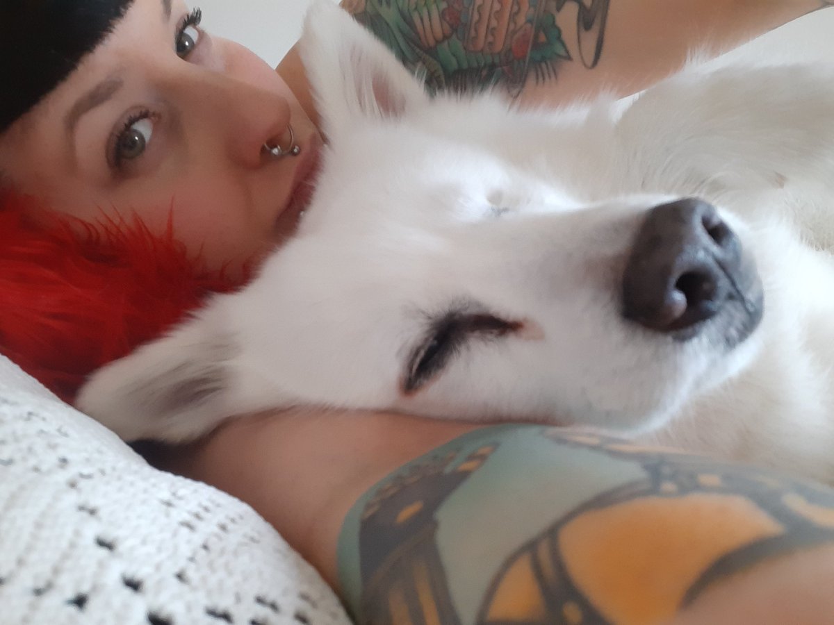 CrybebeBabo's tweet photo. The past few days have been absolutely hardest days of my life. I am preparing to say goodbye to my best friend and soulmate. I feel devastated and heartbroken. I'll miss her smile, her snuggles, singing her favorite songs, and kissing her soft head for the rest of my life. 💔 https://t.co/gTfsf6nR6j