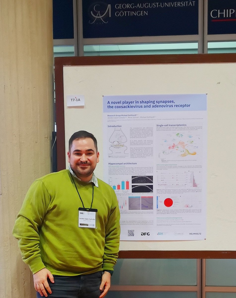 JacobLCar's tweet image. Very happy to present part of my thesis work as a poster in the Göttingen meeting @NeuroforumNWG! And excited for the amazing talks 🧠 #GoeMe23