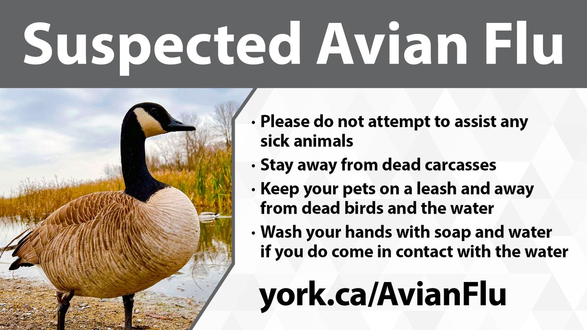 City of Markham tweet media