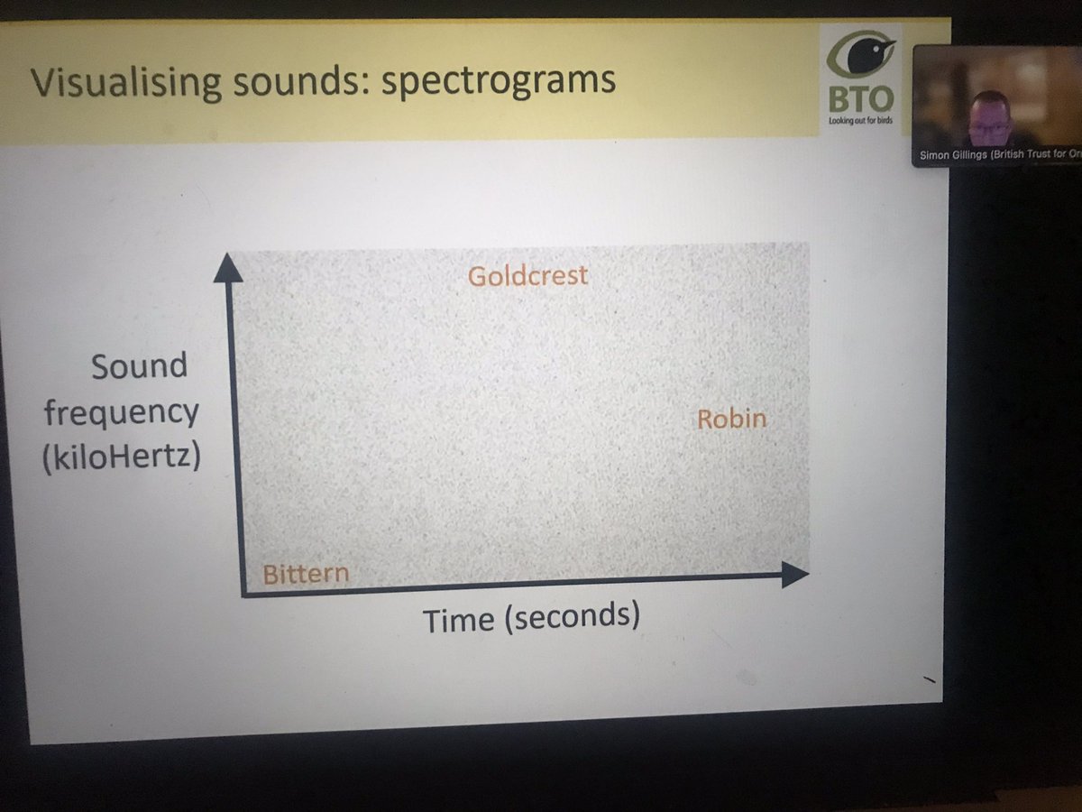 spgalea's tweet photo. 👩‍💻Another fascinating online event from my #birding group @GOWEROS1🏴󠁧󠁢󠁷󠁬󠁳󠁿, with @simon_gillings from @_BTO🐦 explaining all about nocturnal migration (‘noc mig’) and the latest tech. to record and ID migrating bird calls at night - chaired👍 by @OwainGabb
#nocmig #spectogram #tseep🎶 https://t.co/6fQ2AKrjCh