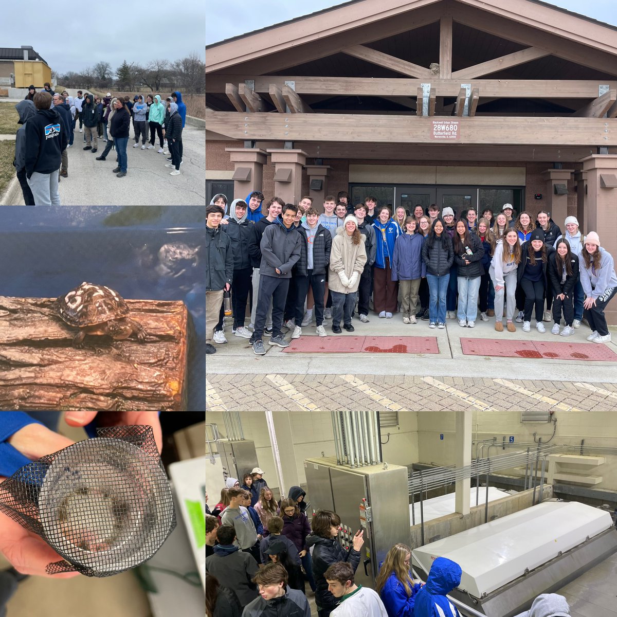 WN APES students visited the wastewater treatment plant and then the Urban Stream Research Center. What happens to Municipal Wastewater? What is happening to restore native mussels, Hines dragonflies, and Blandings turtles back to our native ecosystem? #yourcommunityschools