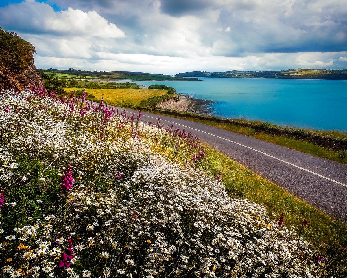 Time to say good night...

“The world is full of magical things, patiently waiting for our senses to grow sharper.” 
 ~ W.B. Yeats