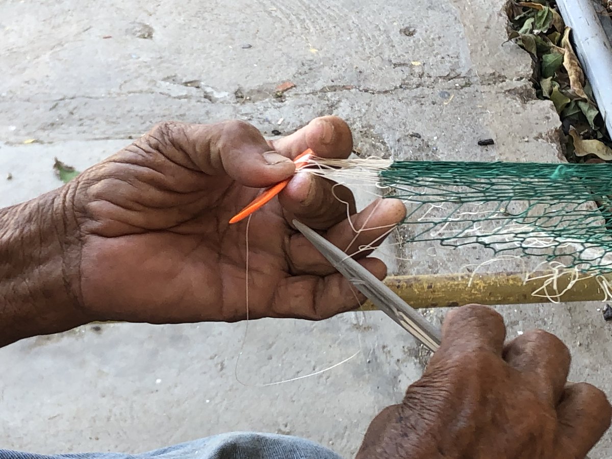 CaribeSurOrg's tweet photo. El ancestral arte de reparar redes de pesca.
Regulo es el decano del personal de la Escuela de Ciencias Aplicadas del Mar #ECAM de la Universidad de Oriente en Boca de Río #UDONE Maestro de muchos estudiantes y profesores en cuestiones del mar, un hombre que ha hecho su trabajo. https://t.co/To2UUuGUMF