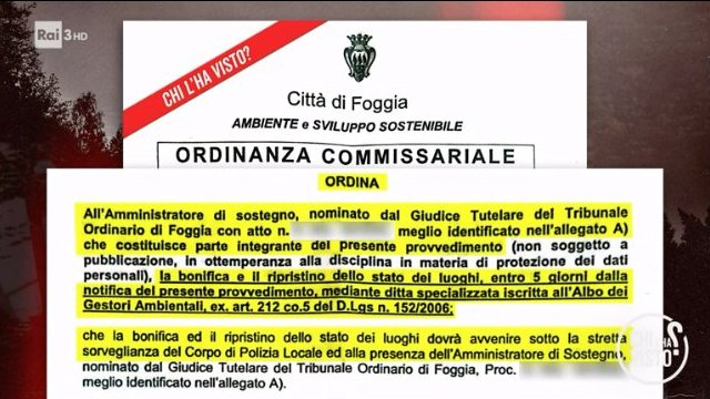 Chi l'ha visto? tweet media