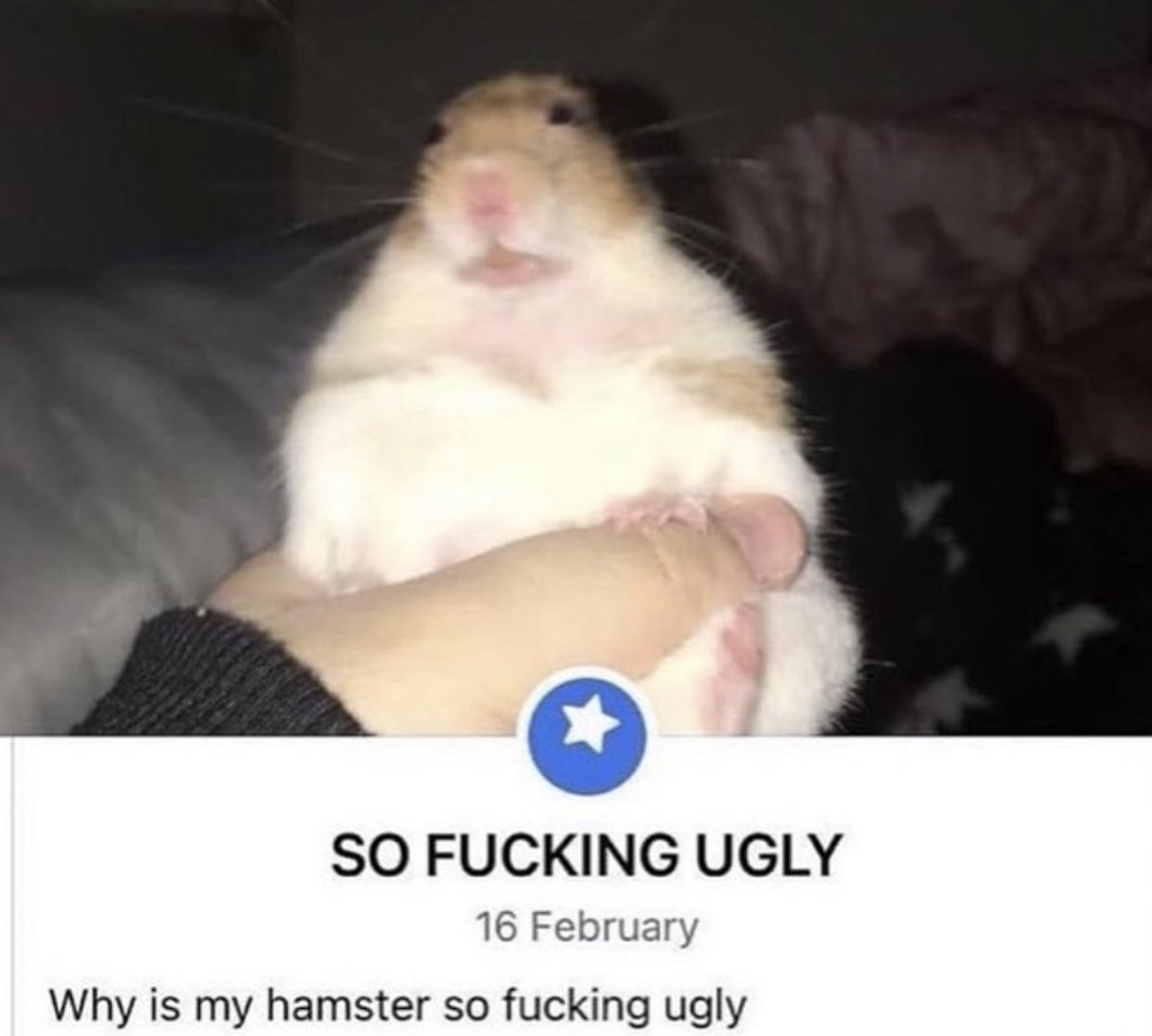 i actually think he’s kinda cute
