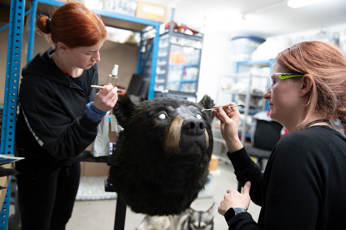 WetaWorkshop's tweet photo. Behind the scenes with our crew working on @cocainebear. Did you know Wētā Workshop built this physical bear bust for @WetaFXofficial to use as a lighting reference?
....
#Film #Artist #Craft #BehindTheScenes #CocaineBear #LightingReference #Bear https://t.co/bV12MhVKCV
