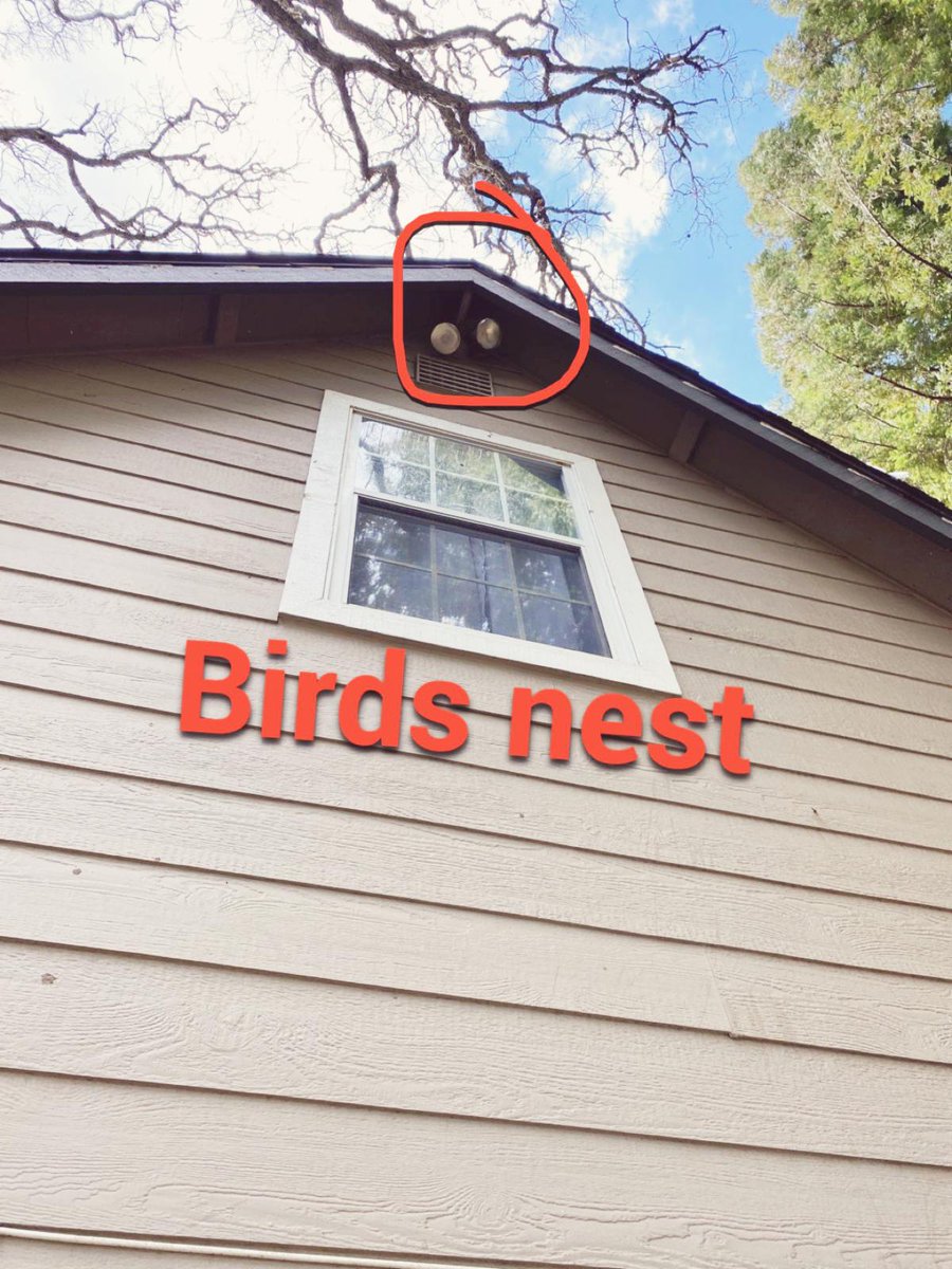 Perryman Painting & Remodeling, Inc. tweet media