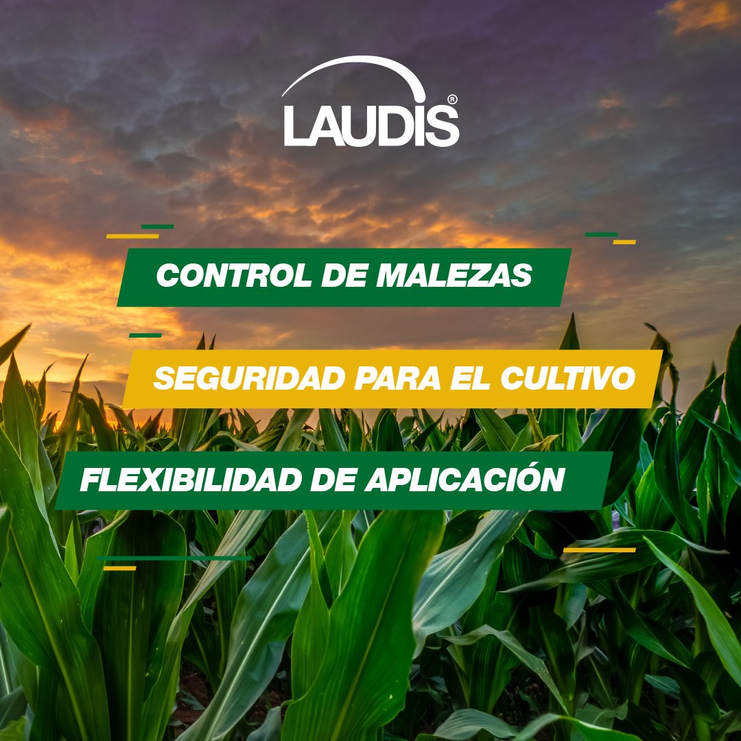 ¡Mayor protección para tu cultivo de maíz! ¿Lo probaste? 🌽

Contactá a tu distribuidor InnoBa y pedí asesoramiento 🤳