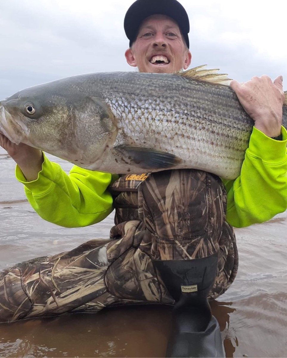 SJShooters's tweet photo. Hey now for all those “real hunters” who shit on baiting deer, make sure you keep that energy now that it’s time to fish. I don’t want to see bait on those hooks. Being a hypocrite is a bad look!!! #sjshooters #njfishing #fishinglife #fishingnj #striperfishing #stripers https://t.co/UBNxE1gg14