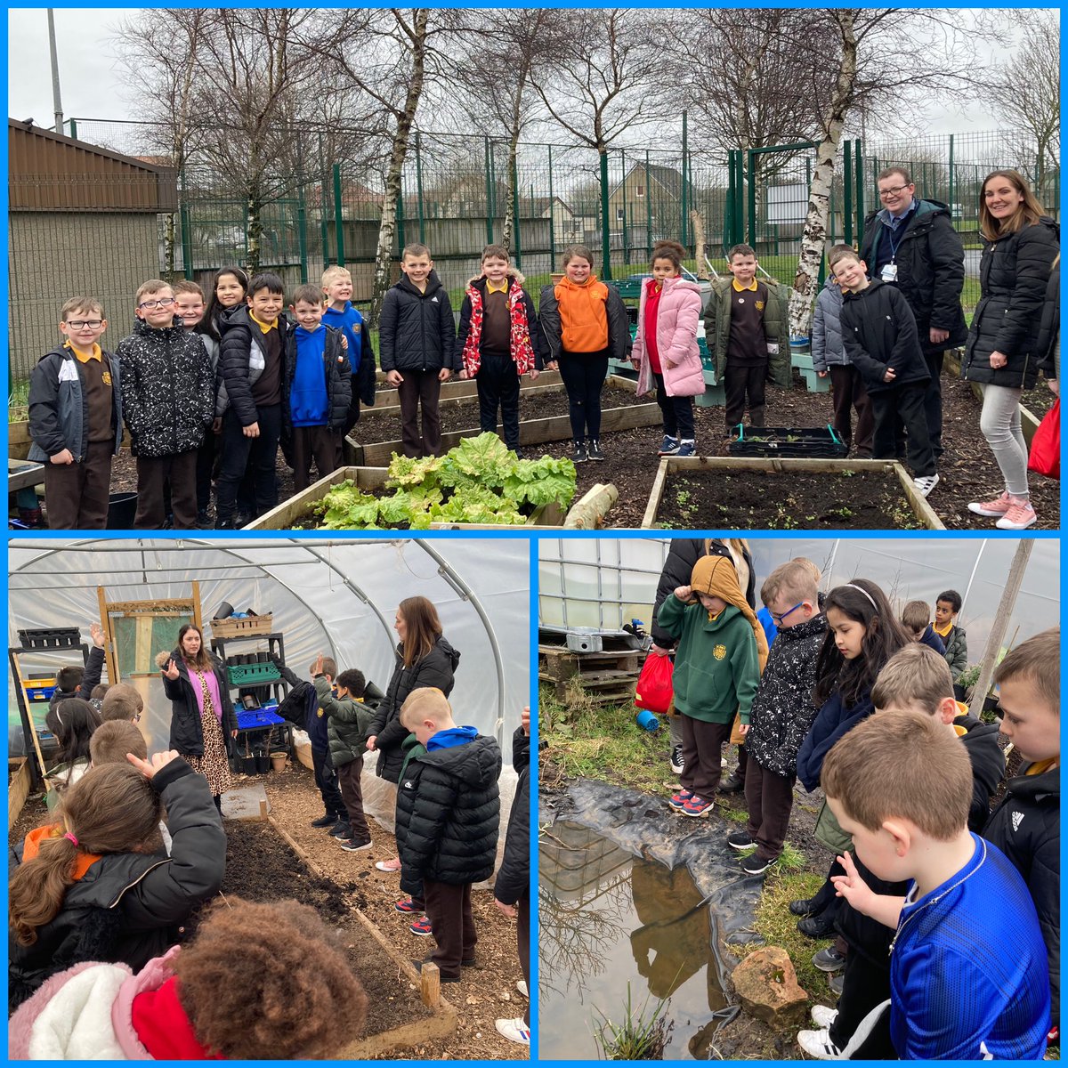 wintonprimary's tweet photo. P1-4 have been visiting @ArdAcademy garden in small groups as part of our STEM focus to see the beekeeping facilities and take part in some planting. Here are some p3/4s enjoying their visit last Friday 🌱🐝 https://t.co/I9w55G3IrM