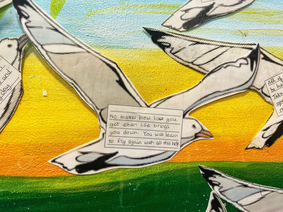 Kim Shutler tweet media