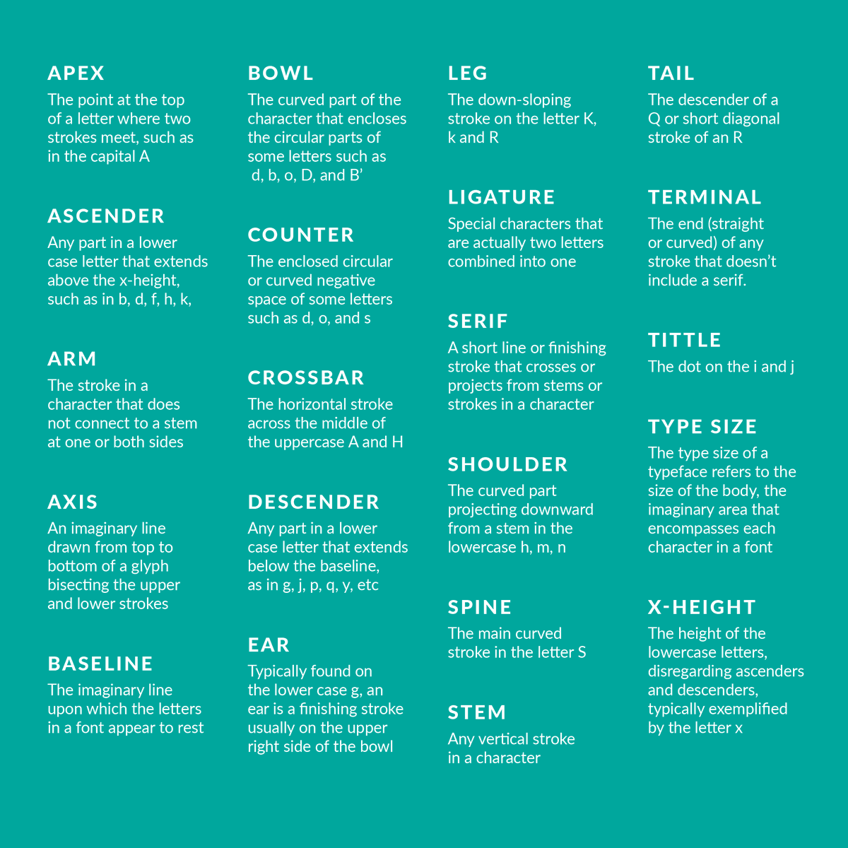 Here's your cue to nerd out on some typography terminology. Wow your designer friends by throwing some of these terms into your next convo. 😉 . . #design #packaging #packagingdesign#graphicdesign #designfirm #branding #graphicdesignlife #womenowned #wbenc #mcandmc