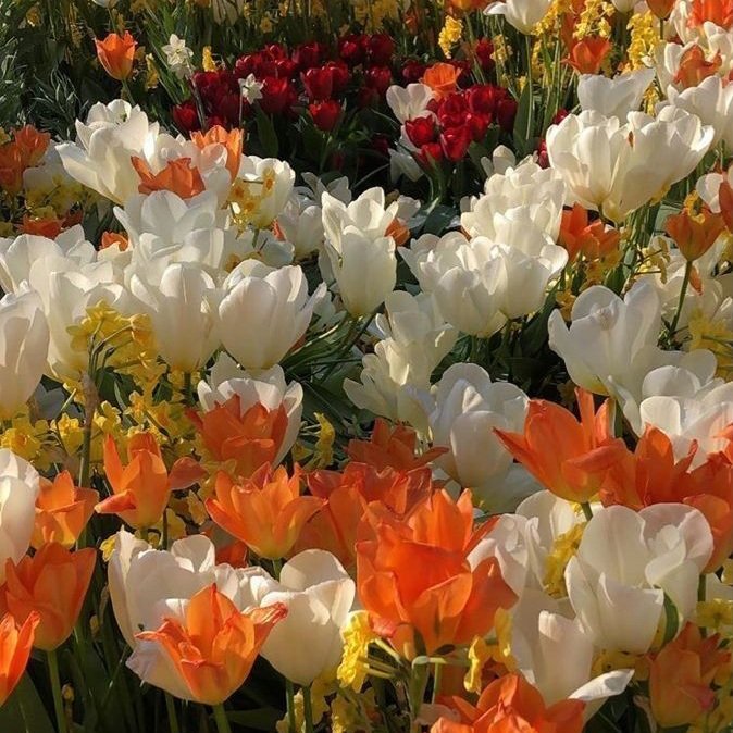 🌿🌼🧺 (@peacozy) on Twitter photo 