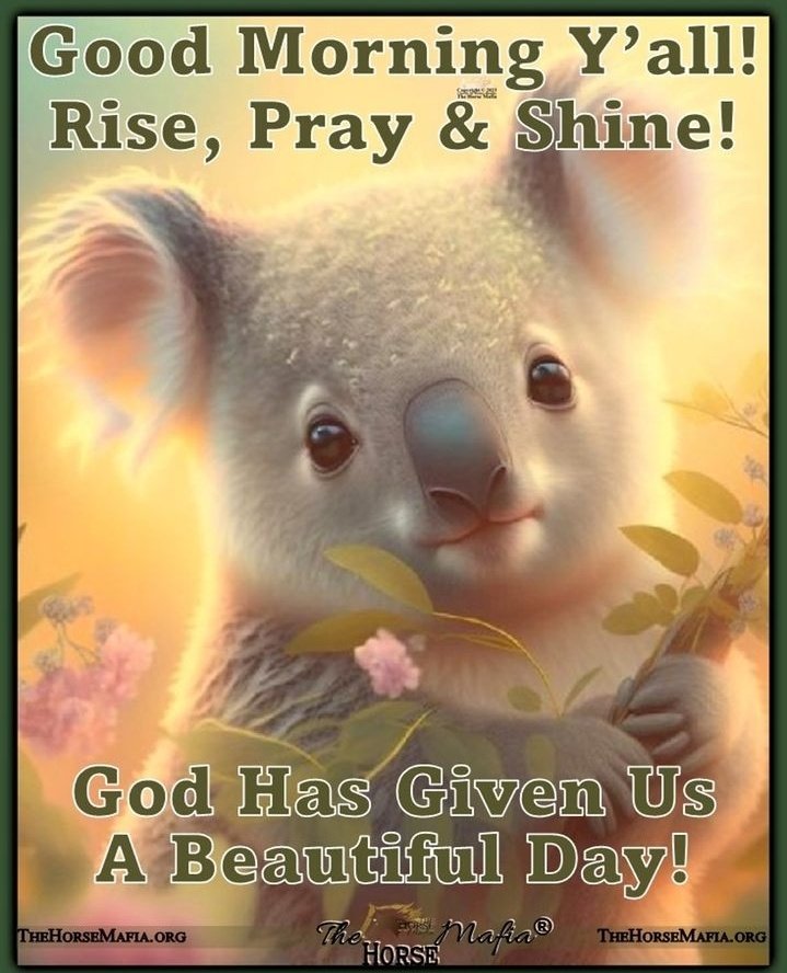 maichardbibis1's tweet photo. Happy Thursday TBADN! 

God bless us all! 

#ALDUB401thWeeksary
#BOYCOTTEBxAPTxGMA743 https://t.co/tuH4c4sNDl